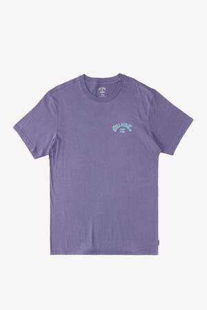 Billabong Arch Fill Ss Erkek Mor T-Shirt ABYZT01696-SKW0 - Billabong