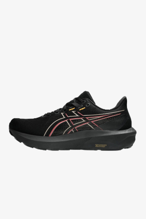 Asics Gt-1000 15 Gtx Erkek Siyah Yol Koşu Ayakkabısı 1011C233-001 - 2