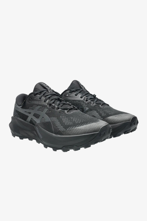 Asics Trabuco 14 GTX Erkek Siyah Patika Koşu Ayakkabısı 1011C165-002 - 2