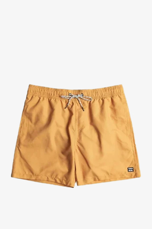 Billabong All Day Lb Erkek Renkli Deniz Şortu EBYJV00134-9W1 - 1