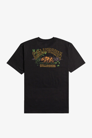 Billabong Arch Dreamy Place Erkek Siyah T-Shirt C1SS33-19 - 2