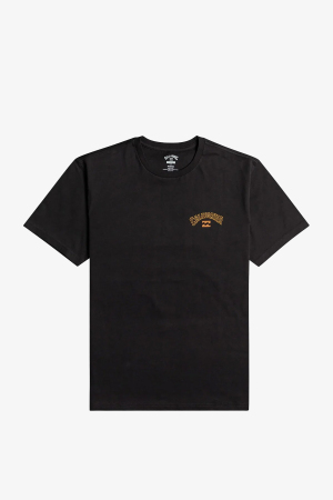 Billabong Arch Dreamy Place Erkek Siyah T-Shirt C1SS33-19 - Billabong
