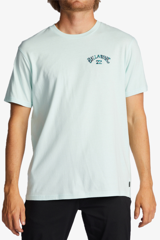 Bıllabong Arch Fıll Erkek Mavi T-Shirt ABYZT01696-SGL - 2