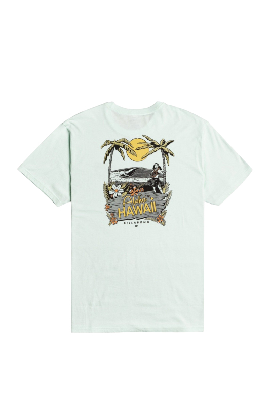 Bıllabong Dreamy Places Erkek Mavi T-Shirt W1SS42-2998 - 2