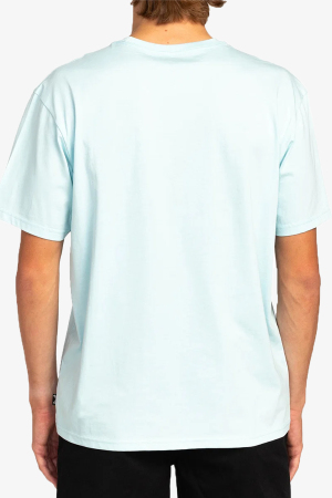 Bıllabong Inversed Erkek Mavi T-Shirt EBYZT00102-CTL - 2