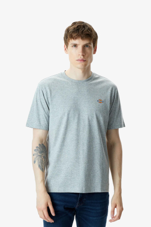 Dickies Mapleton Ss Erkek Gri T-Shirt DK0A4XDBGYM1 - 1