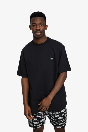 Dickies Mount Vısta Ss Erkek Siyah T-Shirt DK0A4XOUBLK1 - Dickies