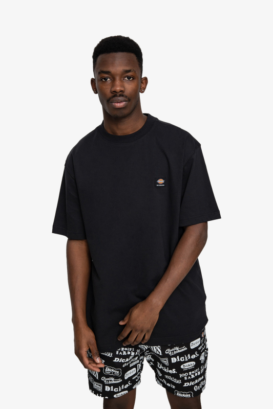 Dickies Mount Vısta Ss Erkek Siyah T-Shirt DK0A4XOUBLK1 - 1