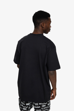 Dickies Mount Vısta Ss Erkek Siyah T-Shirt DK0A4XOUBLK1 - 2