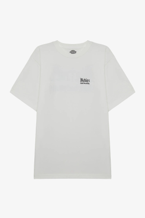 Dickies Skate Erkek Basic Yaka T-Shirt DK0A4YAKWHX1 - 1