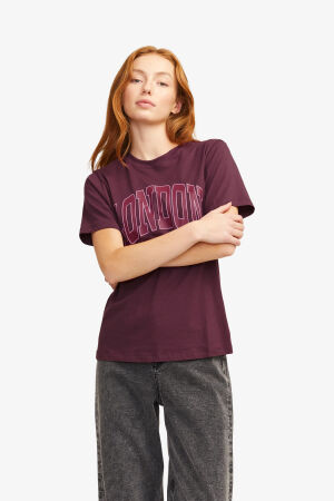 JJXX Jxmerle Kadın Bordo T-Shirt 12260607-Sassafras - 3