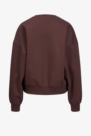 JJXX Jxmerle Kadın Kahverengi Sweatshirt 12260608-Sassafras - 5