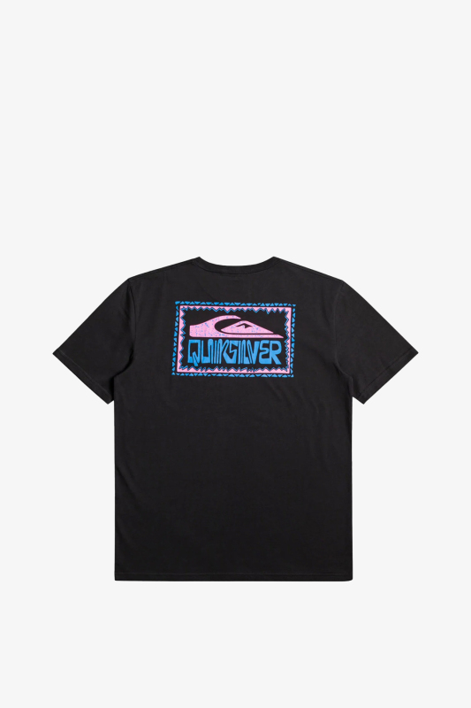 Quiksilver Arped Frames Çocuk Siyah T-Shirt EQBZT04589-KVJ0 - 2