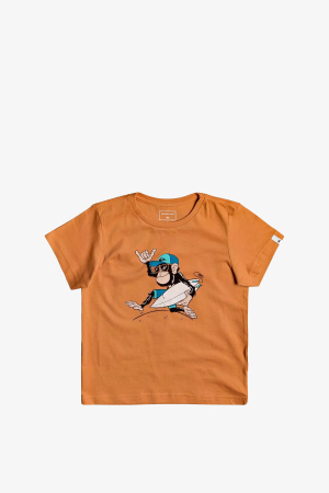 Quiksilver Banalleyboy K S Çocuk Turuncu T-Shirt EQKZT03372-NLF0 - Quiksilver