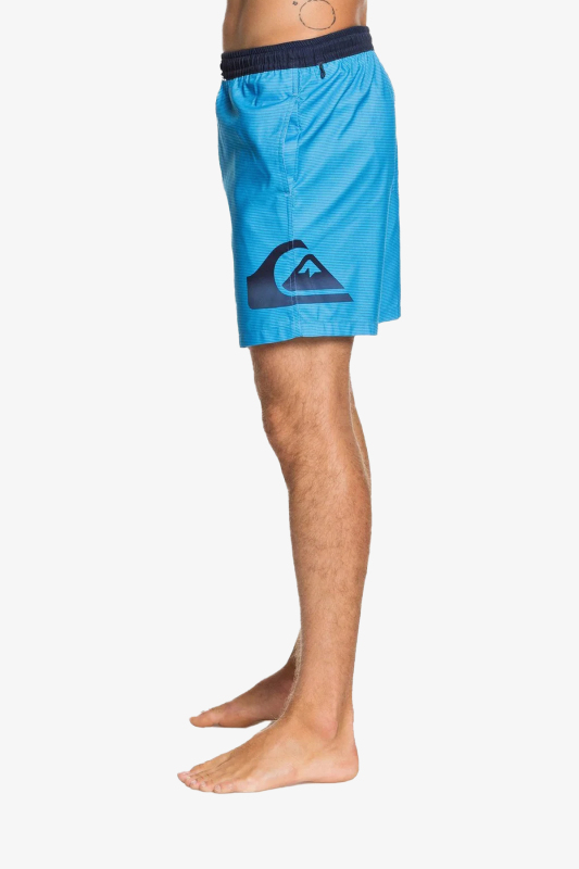 Quiksilver Dredgvly17 Jamv Erkek Mavi Deniz Şortu EQYJV03575-BSM6 - 2