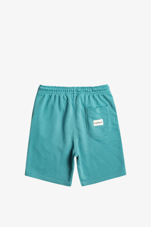Quiksilver Easy Day B Otlr Çocuk Mavi Şort EQBFB03144-BLZ0 - 2