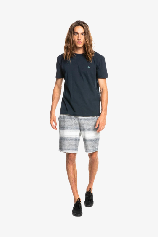 Quiksilver Essentıals Erkek Lacivert T-Shirt EQYKT04092-BYJ0 - 1