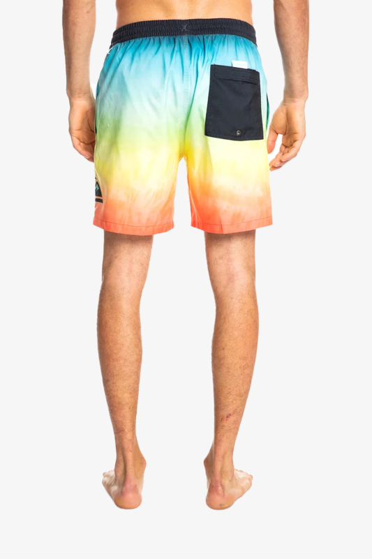 Quiksilver Everyday Faded Logo Volley 17 Erkek Mavi Deniz Şortu EQYJV03839-KTA6 - 2