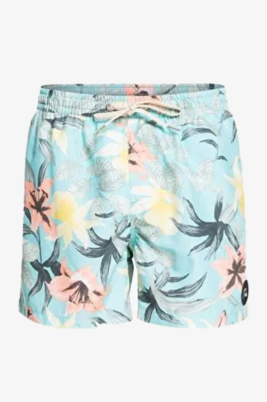 Quiksilver Everyday Garden Path Volley 15 Erkek Mavi Deniz Şortu EQYJV03867-BGD6 - 1
