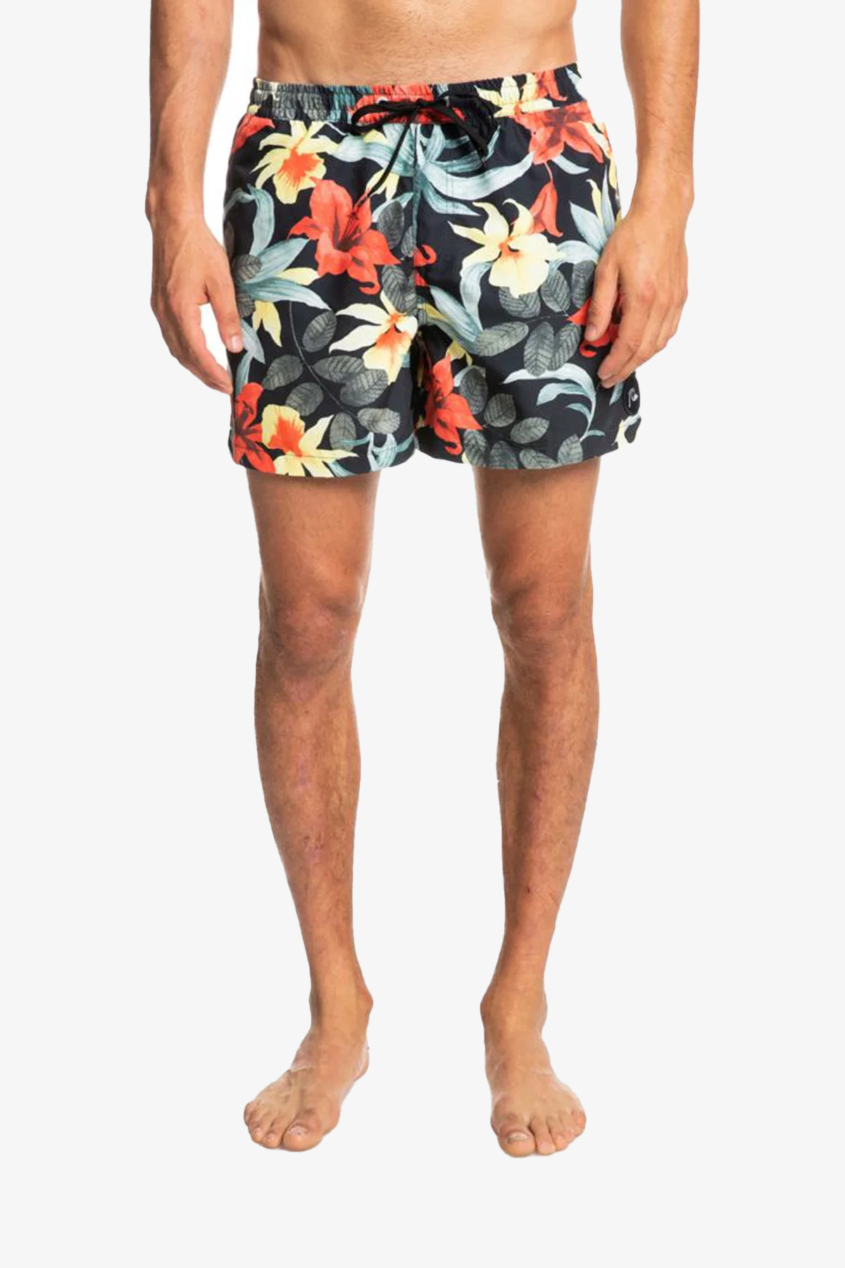Quiksilver Everyday Garden Path Volley 15 Erkek Siyah Deniz Şortu EQYJV03867-KVJ6