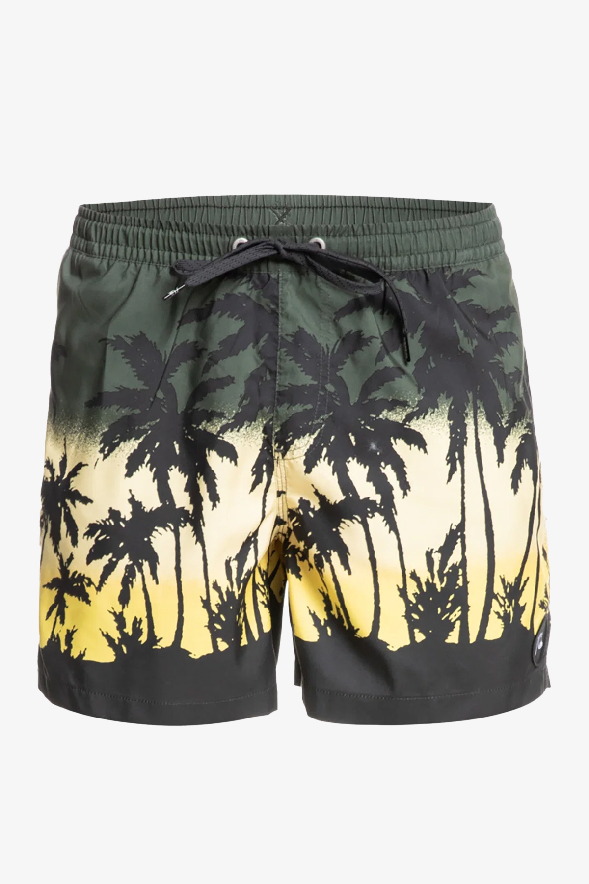 Quiksilver Everyday Paradıse Volley 15 Erkek Yeşil Deniz Şortu EQYJV03861-CQY6