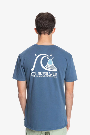 Quiksilver Fresh Take Erkek Mavi T-Shirt EQYZT06354-BSG0 - 2
