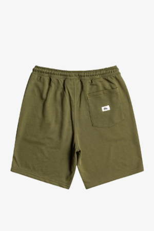 Quiksilver Local Surf Erkek Yeşil Şort EQYFB03318-GPH0 - 2