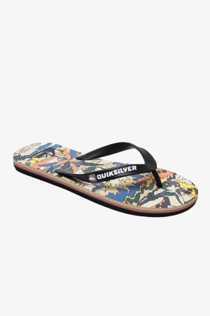 Quiksilver Molo Feelın Fın Erkek Siyah Parmak Arası Terlik AQYL100789-XKKY - Quiksilver