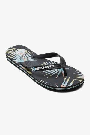 Quiksilver Molokaı Arch Erkek Gri Parmak Arası Terlik AQYL101249-KVJ1 - Quiksilver