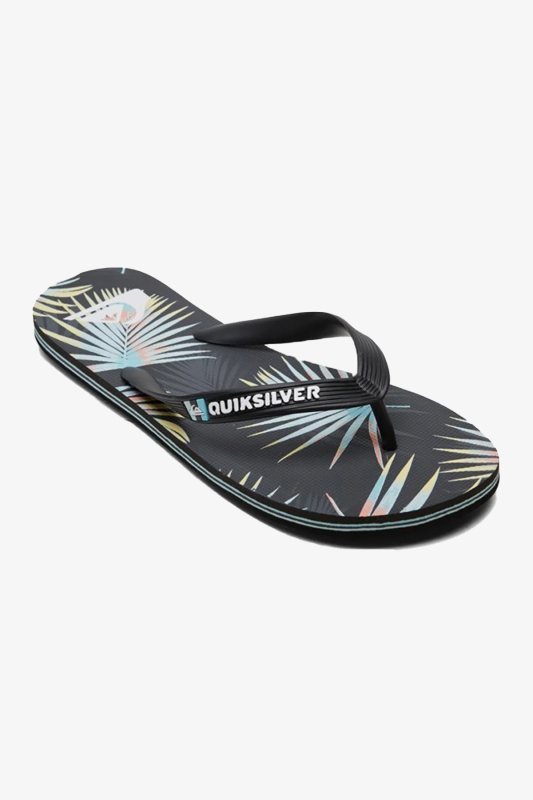 Quiksilver Molokaı Arch Erkek Gri Parmak Arası Terlik AQYL101249-KVJ1 - 1