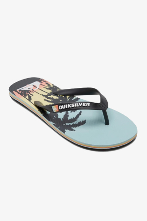 Quiksilver Molokaı Art Erkek Mavi Parmak Arası Terlik AQYL101264-BYJ3 - Quiksilver