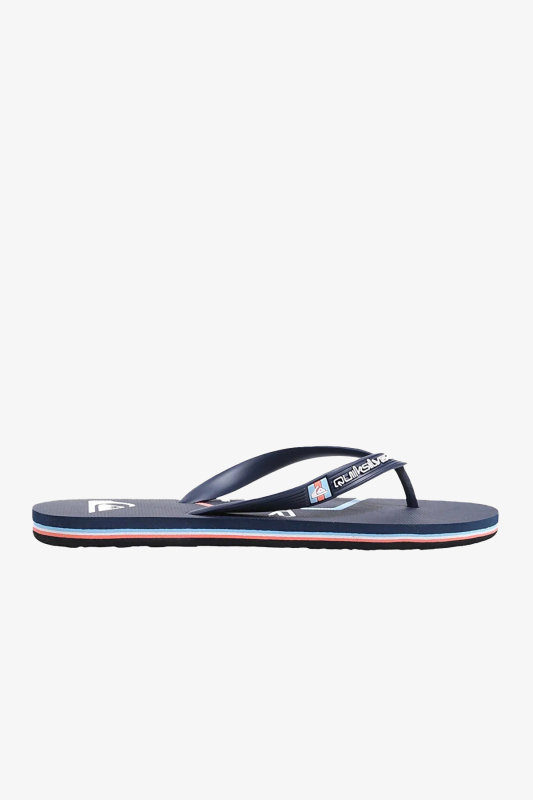 Quiksilver Molokaı Art Sl Erkek Çok Renkli Parmak Arası Terlik AQYL101278 - 1