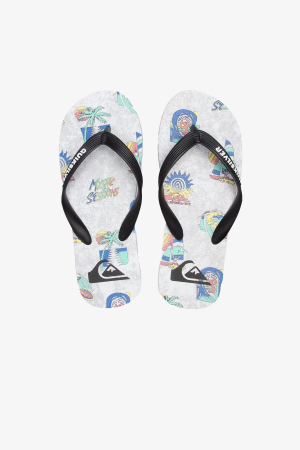 Quiksilver Molokaı Island Pulse Erkek Siyah Parmak Arası Terlik AQYL101186-XKWK - Quiksilver