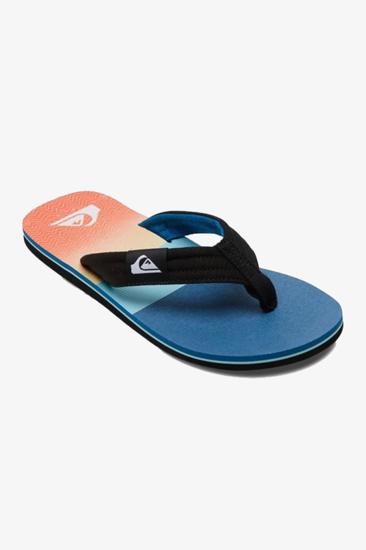 Quiksilver Molokaı Layback Erkek Lacivert Parmak Arası Terlik AQYL101241-BYJ6 - 1