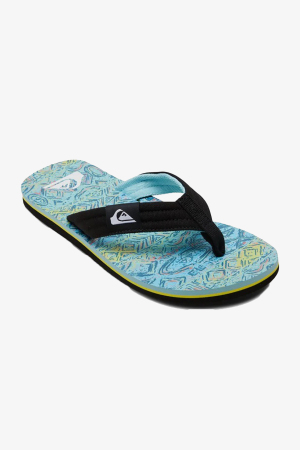 Quiksilver Molokaı Layback Erkek Mavi Parmak Arası Terlik AQYL101241-BYJ3 - Quiksilver