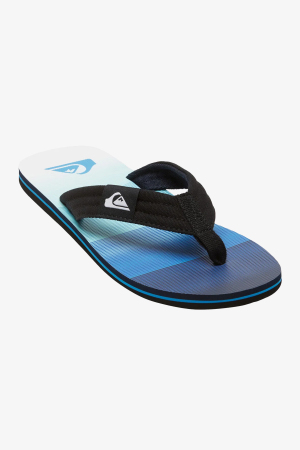 Quiksilver Molokai Layback Erkek Mavi Parmak Arası Terlik AQYL101339-BYJ6 - 2