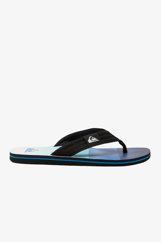 Quiksilver Molokai Layback Erkek Mavi Parmak Arası Terlik AQYL101339-BYJ6 - 1