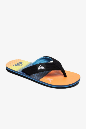 Quiksilver Molokaı Layback Erkek Siyah Parmak Arası Terlik AQYL100560-18320 - Quiksilver