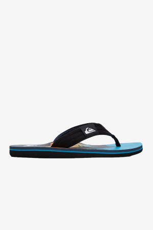 Quiksilver Molokaı Layback Erkek Siyah Parmak Arası Terlik AQYL100955-XKBB - Quiksilver