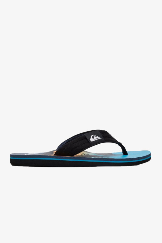 Quiksilver Molokaı Layback Erkek Siyah Parmak Arası Terlik AQYL100955-XKBB - 1
