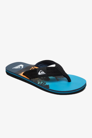 Quiksilver Molokaı Layback Erkek Siyah Parmak Arası Terlik AQYL100955-XKBB - 2