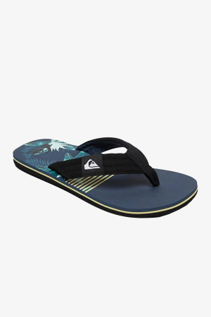 Quiksilver Molokaı Layback Erkek Siyah Parmak Arası Terlik AQYL100955-XKBG - Quiksilver