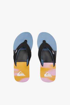 Quiksilver Molokai Layback II Erkek Mavi Parmak Arası Terlik AQYL101339-XBBN - 2