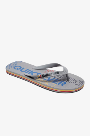 Quiksilver Molokaı Nıtro Erkek Gri Parmak Arası Terlik AQYL100562-16851 - Quiksilver