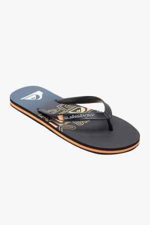 Quiksilver Molokaı Ordblock Erkek Siyah Parmak Arası Terlik AQYL101287-XKKN - Quiksilver