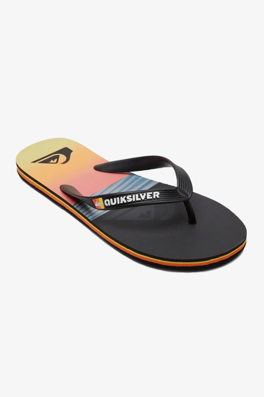 Quiksilver Molokaı Panel Erkek Gri Parmak Arası Terlik AQYL101263-KVJ1 - 1