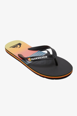 Quiksilver Molokaı Panel Erkek Mavi Parmak Arası Terlik AQYL101263-BYJ2 - Quiksilver