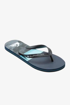Quiksilver Molokaı Panel Erkek Mavi Parmak Arası Terlik AQYL101263-XBBS - Quiksilver