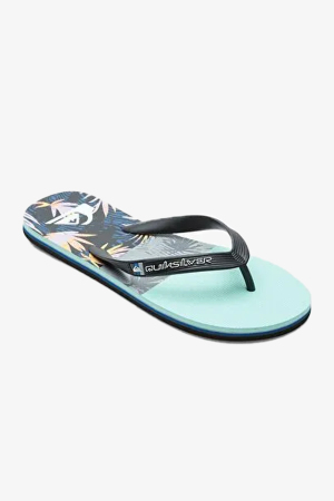 Quiksilver Molokaı Panel Erkek Siyah Parmak Arası Terlik AQYL101263-XKBS - Quiksilver