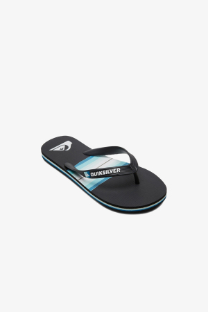 Quiksilver Molokaı Resın Tınt Çocuk Gri Parmak Arası Terlik AQBL100559-KVJ1 - Quiksilver